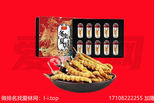 襄樊回收虫草.jpg